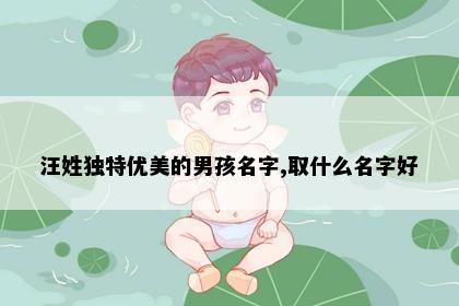 汪姓独特优美的男孩名字,取什么名字好
