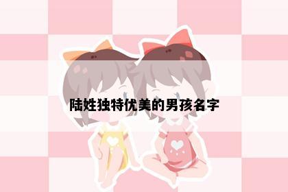 陆姓独特优美的男孩名字