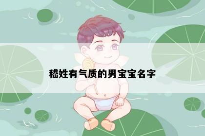 嵇姓有气质的男宝宝名字